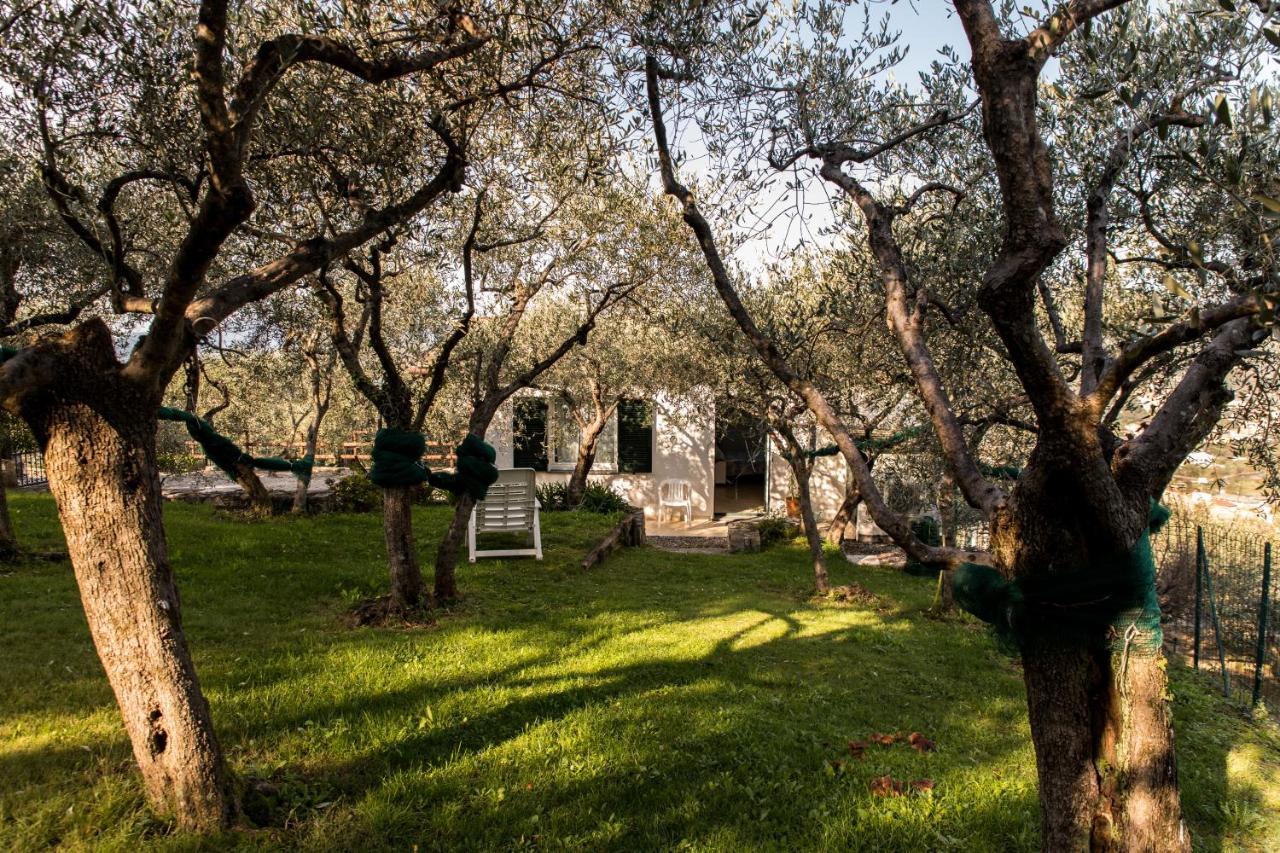 לאווניה Agri Bed - L'Affittacamere In Collina - Guest Room On The Hill מראה חיצוני תמונה
