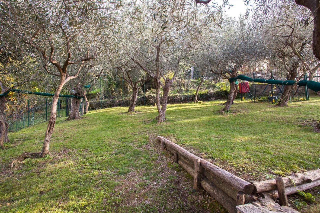 לאווניה Agri Bed - L'Affittacamere In Collina - Guest Room On The Hill מראה חיצוני תמונה