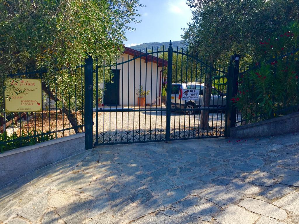 לאווניה Agri Bed - L'Affittacamere In Collina - Guest Room On The Hill מראה חיצוני תמונה