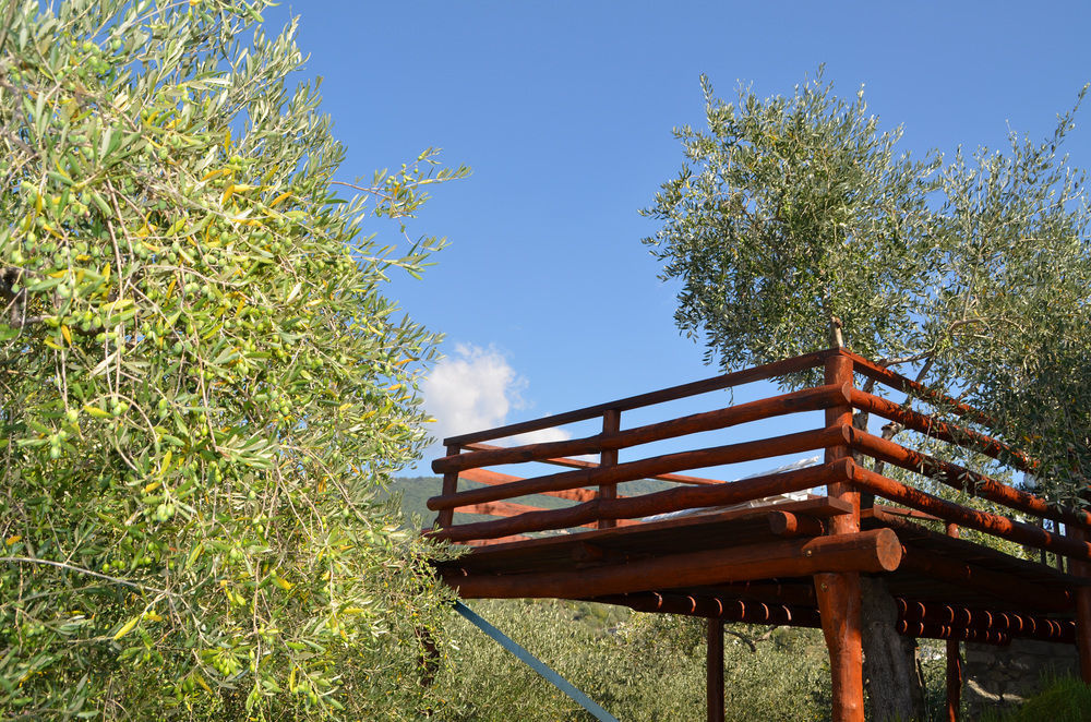 לאווניה Agri Bed - L'Affittacamere In Collina - Guest Room On The Hill מראה חיצוני תמונה