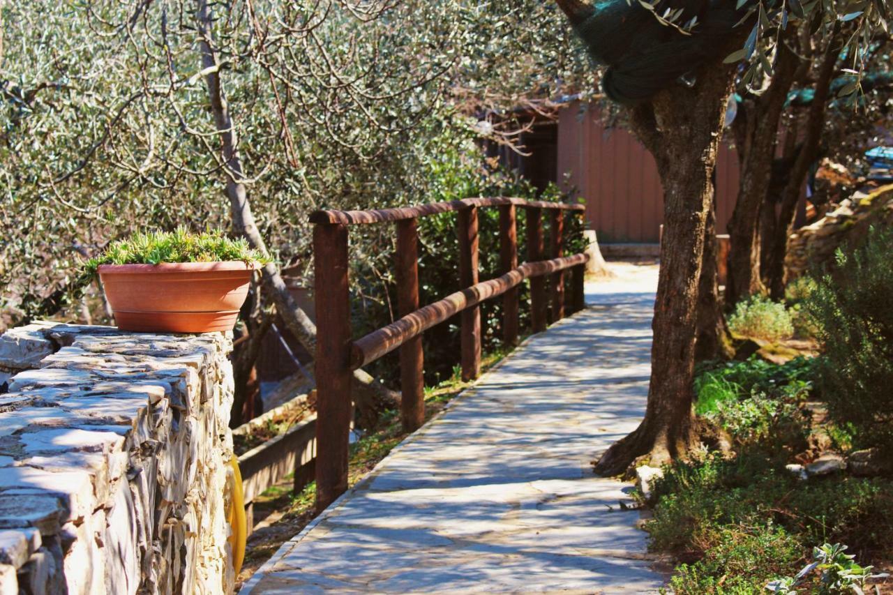 לאווניה Agri Bed - L'Affittacamere In Collina - Guest Room On The Hill מראה חיצוני תמונה